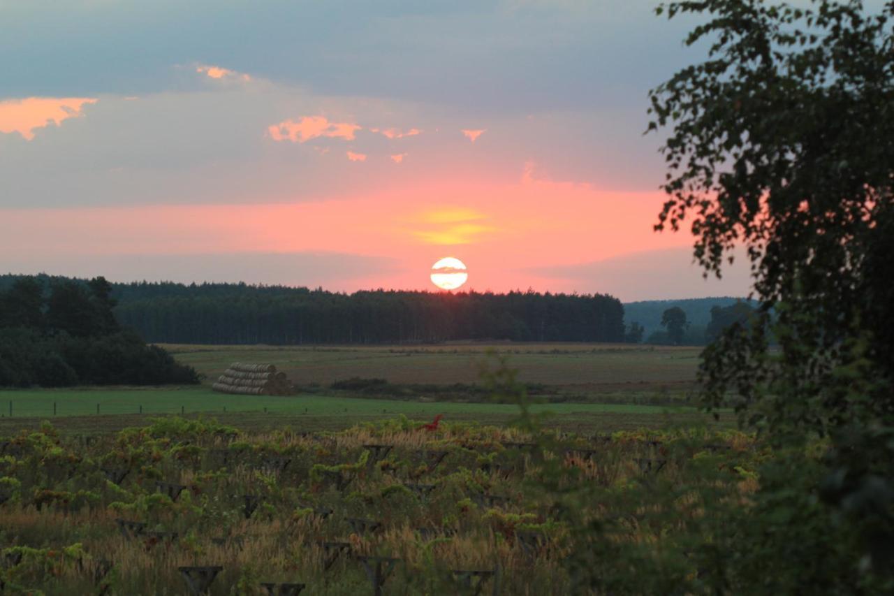 Winnica Dębogóra Dobiegniew Zewnętrze zdjęcie