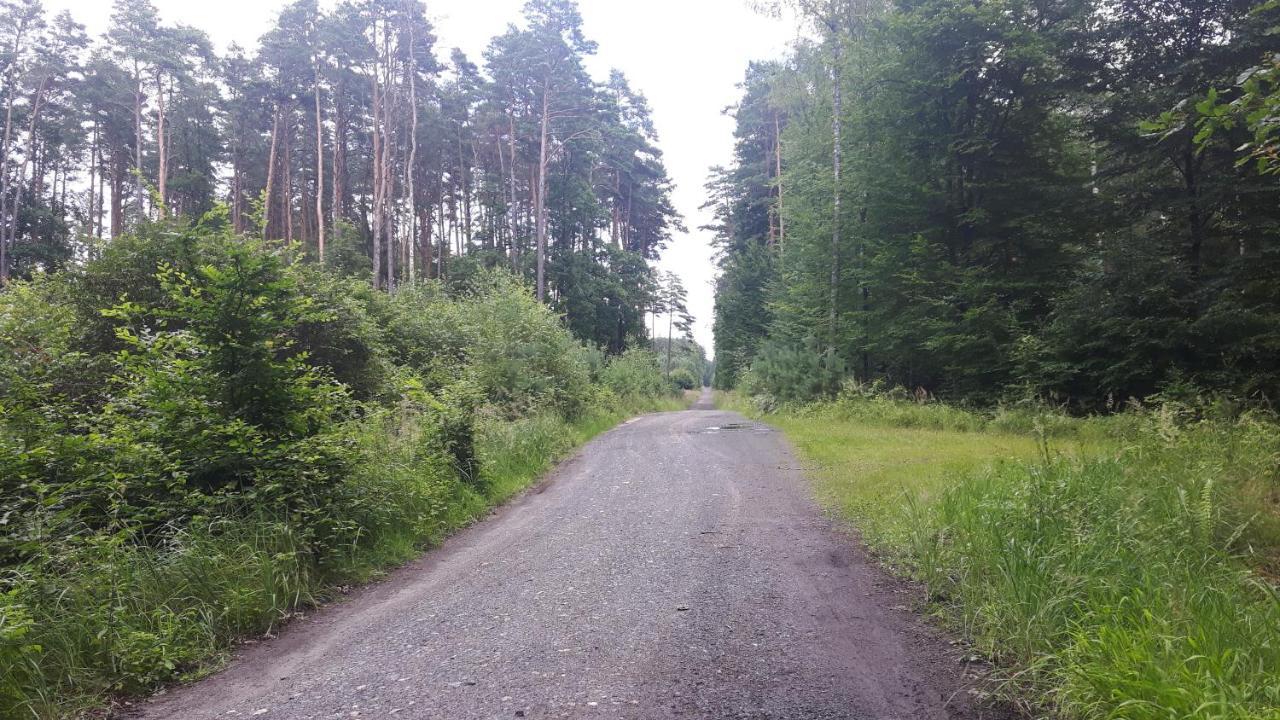 Winnica Dębogóra Dobiegniew Zewnętrze zdjęcie